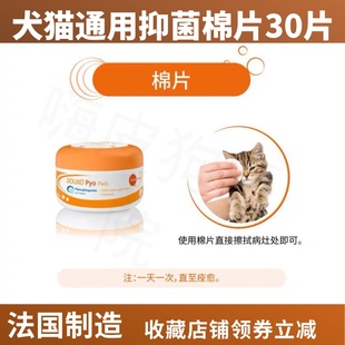 菌乐净多效棉片宠物湿巾猫黑下巴毛囊炎猫咪细菌真菌狗擦脚趾嘴巴
