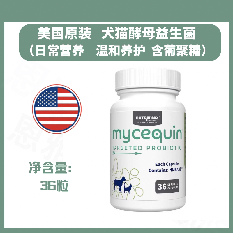 美国原装定向酵母益生菌胶囊犬猫