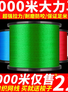 进口大力马鱼线子线主线500米4/8/9编织渔网线1000米路亚pe线正品