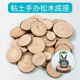 圆木片手绘diy手工材料原木片装 饰幼儿园松木片 饰背景墙年轮装