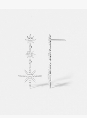 【獨家渠道资源】【杨紫同款】耳钉C-001M6762