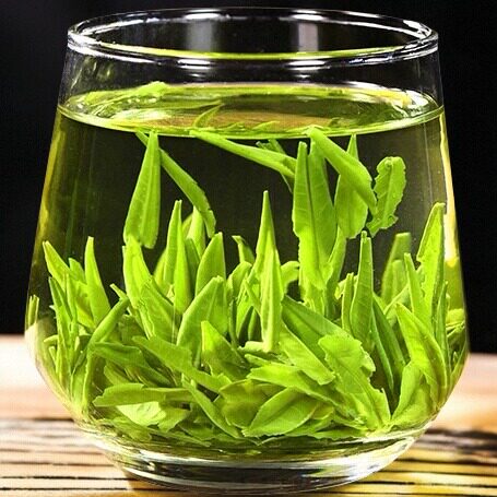贵州云雾绿茶早春新茶浓香型耐泡袋装湄潭核心产区茶园炒青绿茶叶