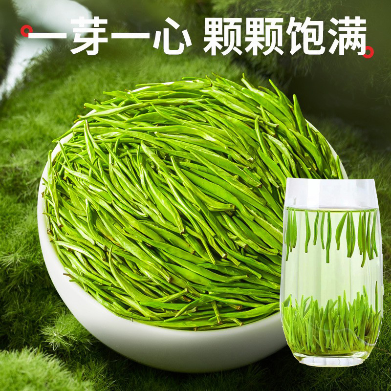 雀舌绿茶早春新茶明前特级嫩芽头