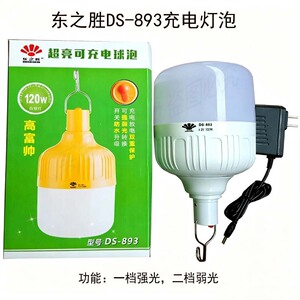 东之胜防水露营灯夜市充电灯led