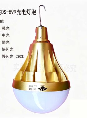 东之胜120w200w充电灯泡强光