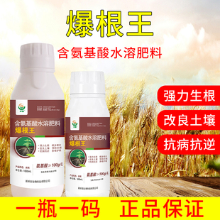 爆根王生根壮苗叶面肥强力生根壮苗剂改善土壤扦插移栽生根剂通用