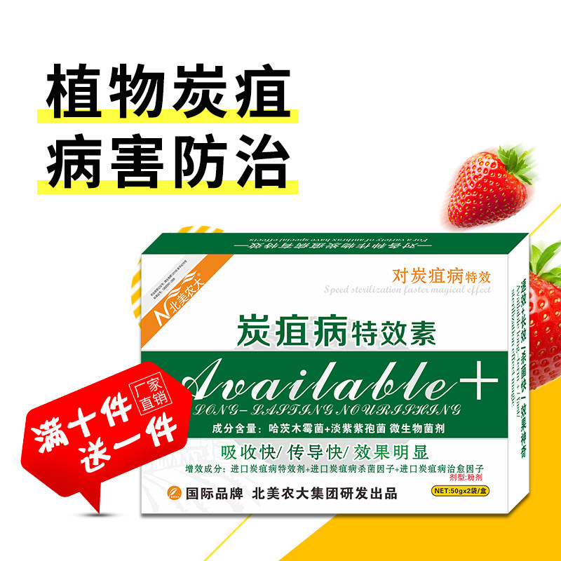 炭疽病特效素杀菌剂 西瓜黄瓜辣椒番茄草莓炭疽病专用药 北美农大