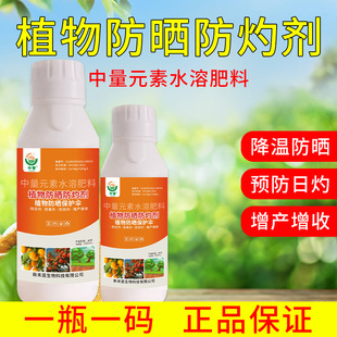 植物防晒防灼剂专用剂番茄辣椒柑橘防晒霜作物防晒伤防裂果防日灼