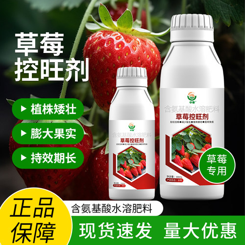 草莓控旺剂草莓专用矮壮素正品