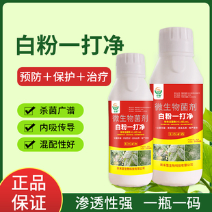 白粉病一打净果树蔬菜花卉白粉病专用药番茄黄瓜辣椒草莓白粉病药