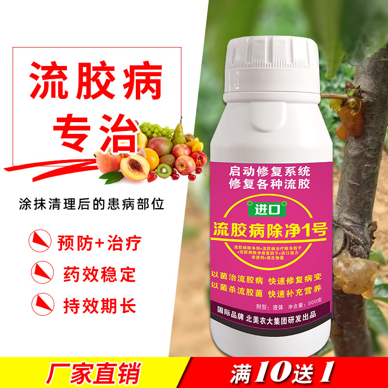 进口流胶病除净1号杀菌剂黄瓜樱桃树柑橘果树流胶病 穿孔病专用药