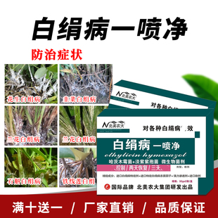 北美农大白绢病一喷净杀菌剂兰花魔芋花生白绢病专用药菌核性根腐