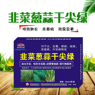 韭菜葱蒜干尖绿蔬菜瓜果灰霉锈病斑病炭疽病干枯病专用杀菌剂正品