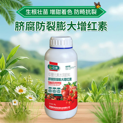 脐腐防裂膨大增红素番茄叶面肥