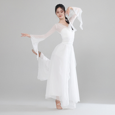 古典舞蹈服女飘逸仙气身韵纱衣