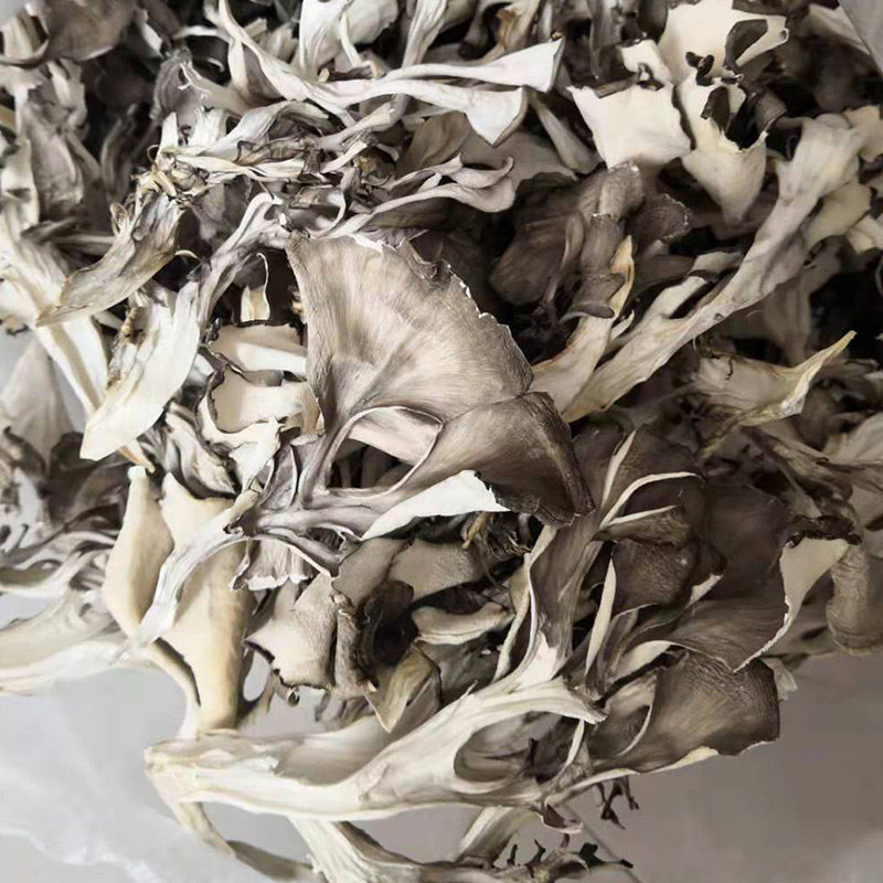 新货迁西栗蘑干灰树花舞茸栗树菇干货真菌菇250g包邮唐山特产迁西