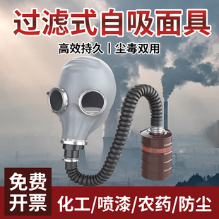 防毒面具苍蝇头全面罩鬼脸cos喷漆专用化工全封闭防尘防氯过滤式