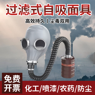 防毒面具苍蝇头全面罩