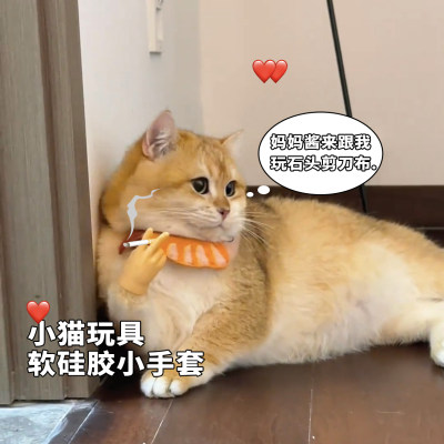 猫咪手指套硅胶有弹性可穿戴