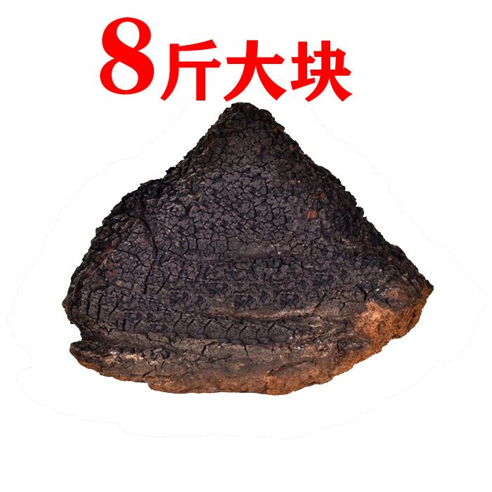 桦树茸俄罗斯进口野生正品白桦茸天然胰岛素桦褐孔菌特级整块
