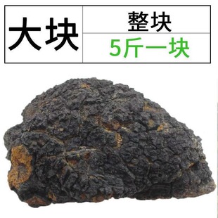 野生桦树茸白桦茸俄罗斯进口正品 特级天然胰岛素5斤整块一块