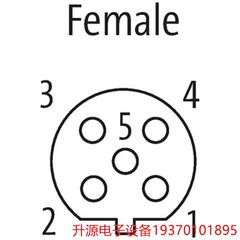 议价直拍不发：7000-14031-0000000 MURR M12母头90&deg; 5芯