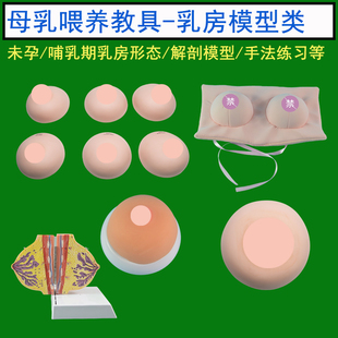 孕妇学校母乳喂养指导教学仿真乳房模型哺乳示范假胸道具异常乳头