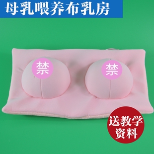 催乳师手法练习 无异味布乳房模型 母乳喂养指导哺乳指导假乳房