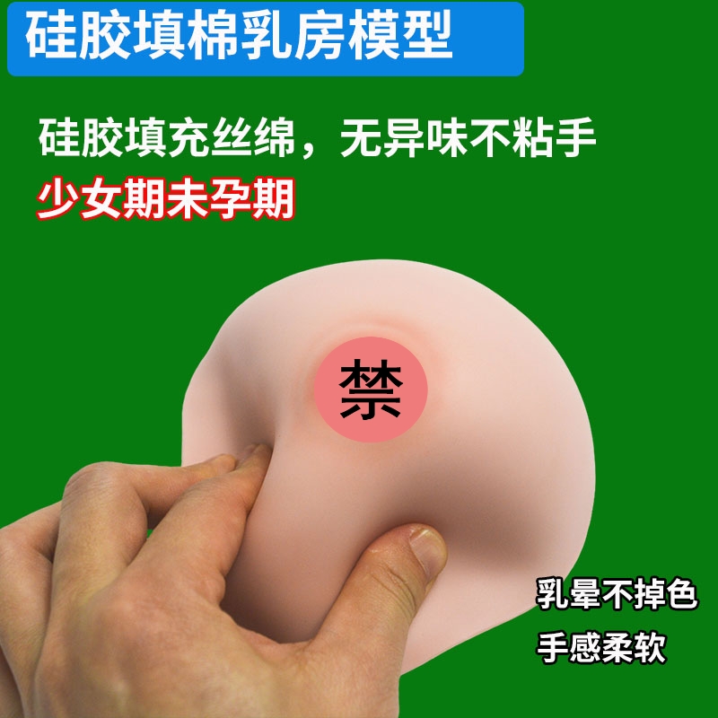 母婴护理硅胶乳房模型 少女未孕期乳腺模型带乳晕不掉色无异味