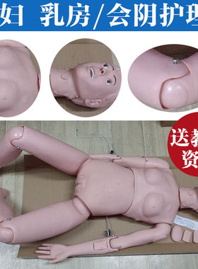 孕产妇护理人模型 产妇护理假人橡胶人 乳房护理会阴清洁护理培训