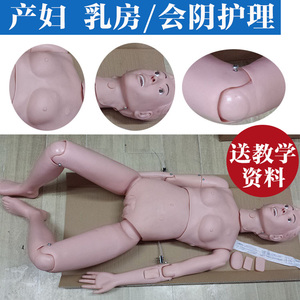 孕产妇护理人模型 产妇护理假人橡胶人 乳房护理会阴清洁护理培训