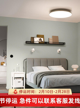 IKEA宜家代购约斯道可LED吸顶灯椭圆形90x60cm卧室厨房玄关圆形灯