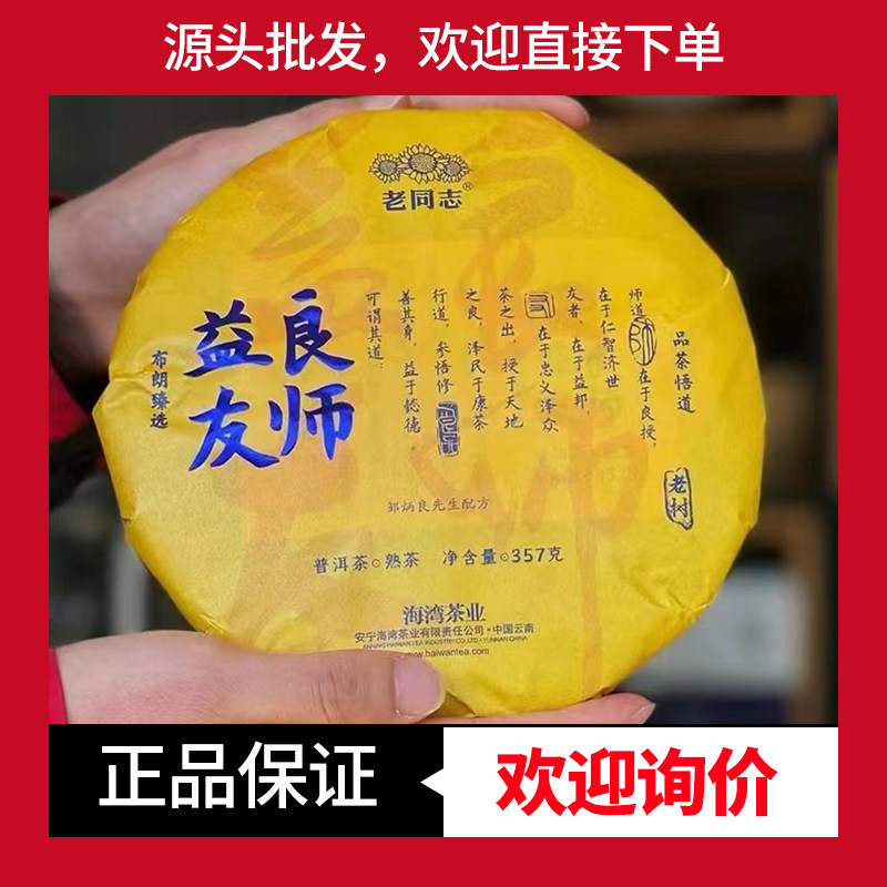 老同志普洱良师益友布朗山老树