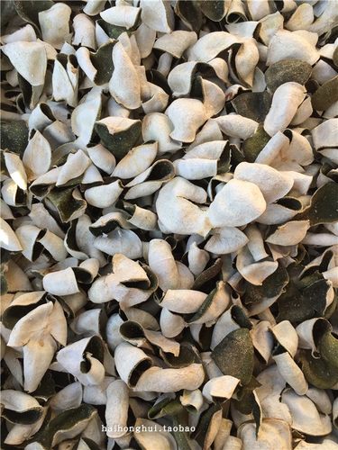 2024年正宗特产青柑二红新会陈皮