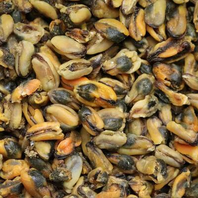 野生淡菜包邮海鲜水产淡菜干