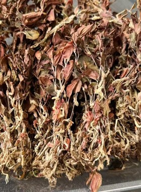 正宗金线莲精选整株开花干品500克整斤福建南靖林下仿野生种植