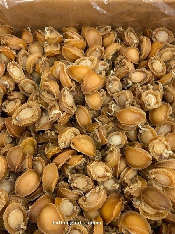 大连小鲍鱼仔干货 生晒鲜活海鲜水产干品佛跳墙40-50个头1斤500g
