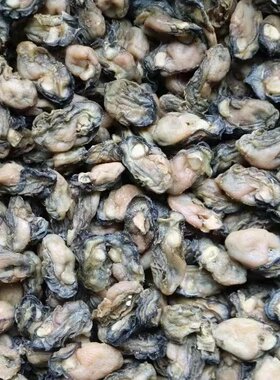 特小海蛎干小500g福建特产杜蛎