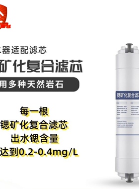 富锶矿化复合滤芯纯水机小T快接后置矿化水滤芯锶复合净水器滤芯