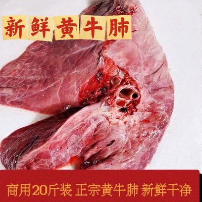 牛肺新鲜商用冷冻牛肺火锅食材广东萝卜牛杂牛内脏宠物食材