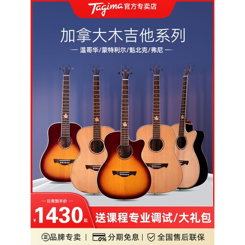 Tagima 民谣吉他塔吉玛 41寸36寸缺角电箱木吉他加拿大系列单板