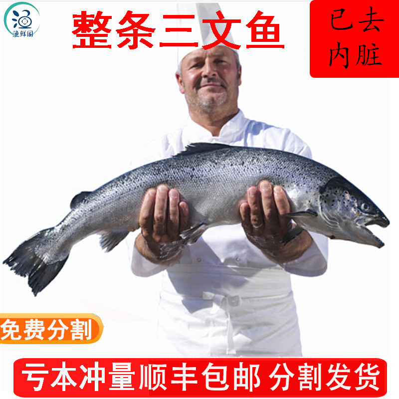 智利进口新鲜冷冻三文鱼整条 大西洋鲑鱼三文鱼刺身肉生鱼片 包邮