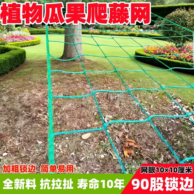 园艺花卉植物瓜果爬藤网