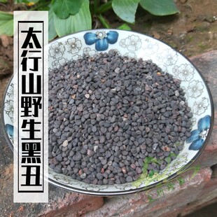任意2件包邮 太行山深山野生牵牛子250g 天然黑丑喇叭花籽种子