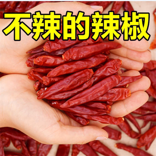 河南新一代微辣朝天椒柘城三樱椒天鹰椒板面干辣椒特香不辣8号椒