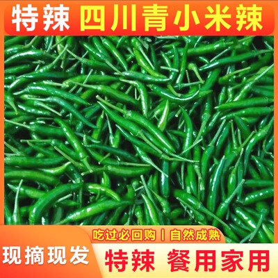 青小米椒一年四季供应 饭店首选 尖叫鸡 双椒菜 火爆菜用可泡椒