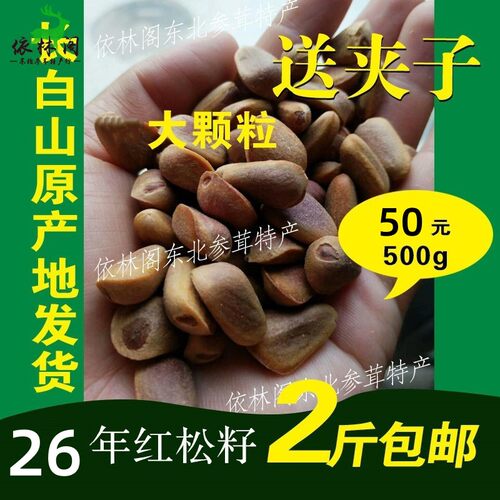 包邮野生红松子大颗粒东北长白山特产新货生的松籽新鲜500g孕妇