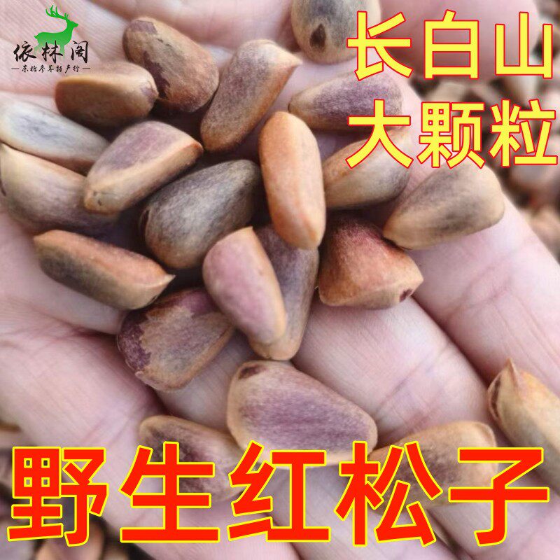 包邮东北野生红松子生松子新鲜原味笨炒熟长白山特产孕妇鼠粮
