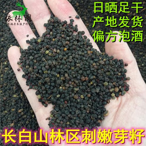 东北长白山野生刺老芽籽刺嫩芽籽