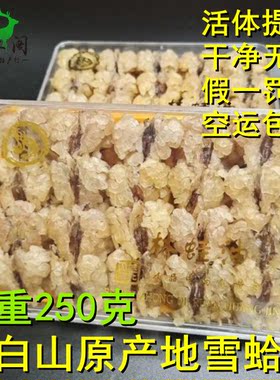 250克东北特产长白山林蛙油块油